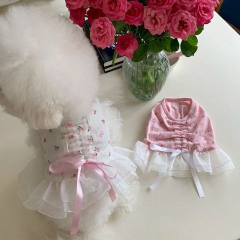 LINE_ALBUM_Doggyholic 4_260305_23