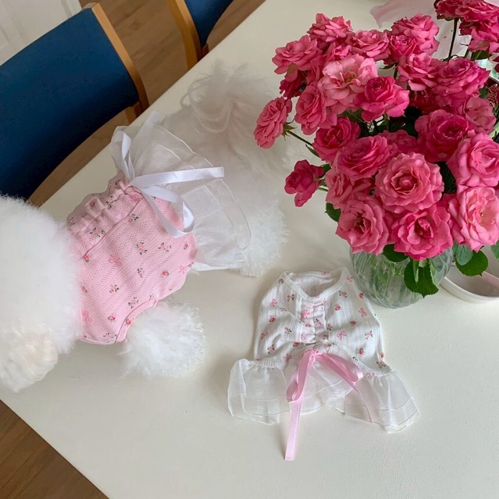 LINE_ALBUM_Doggyholic 4_260305_30