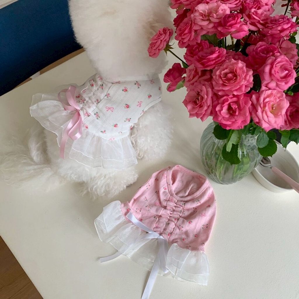 LINE_ALBUM_Doggyholic 4_260305_24