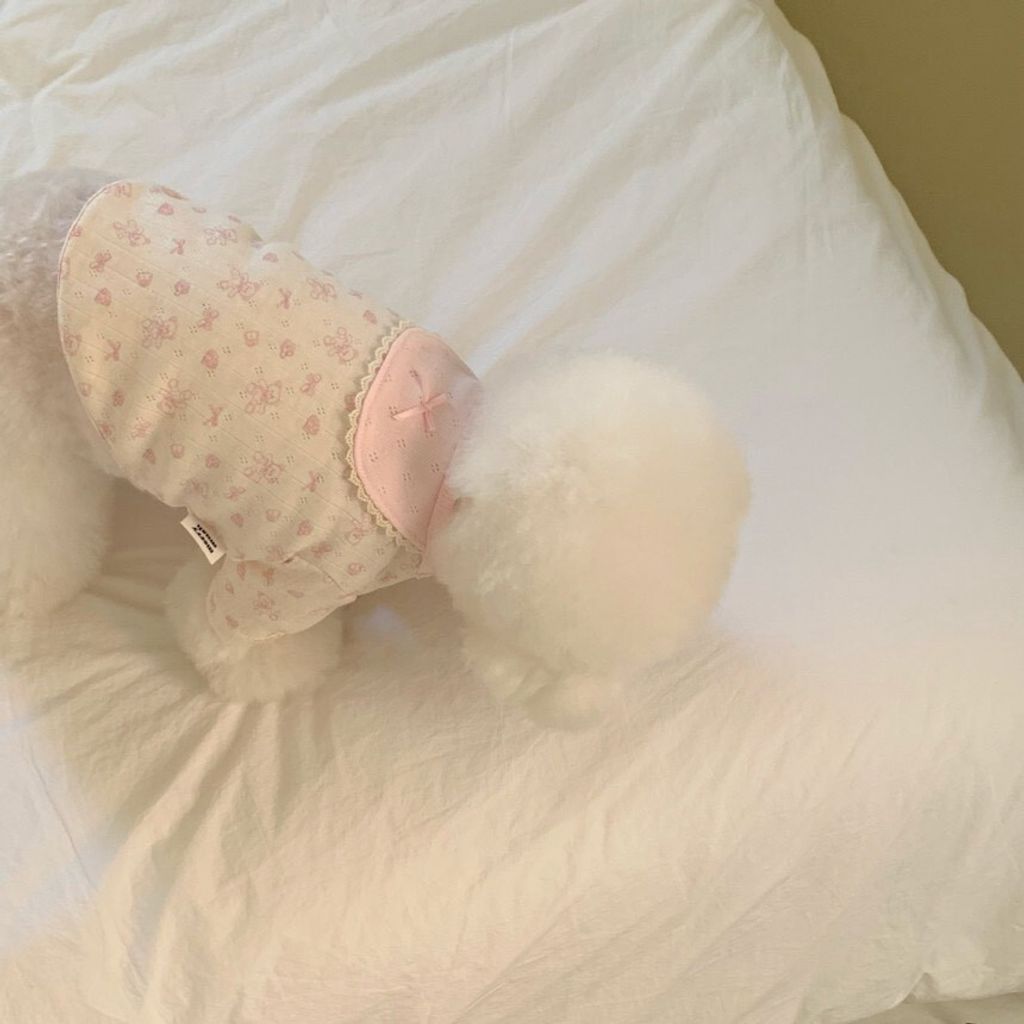 LINE_ALBUM_Doggyholic 4_260305_54