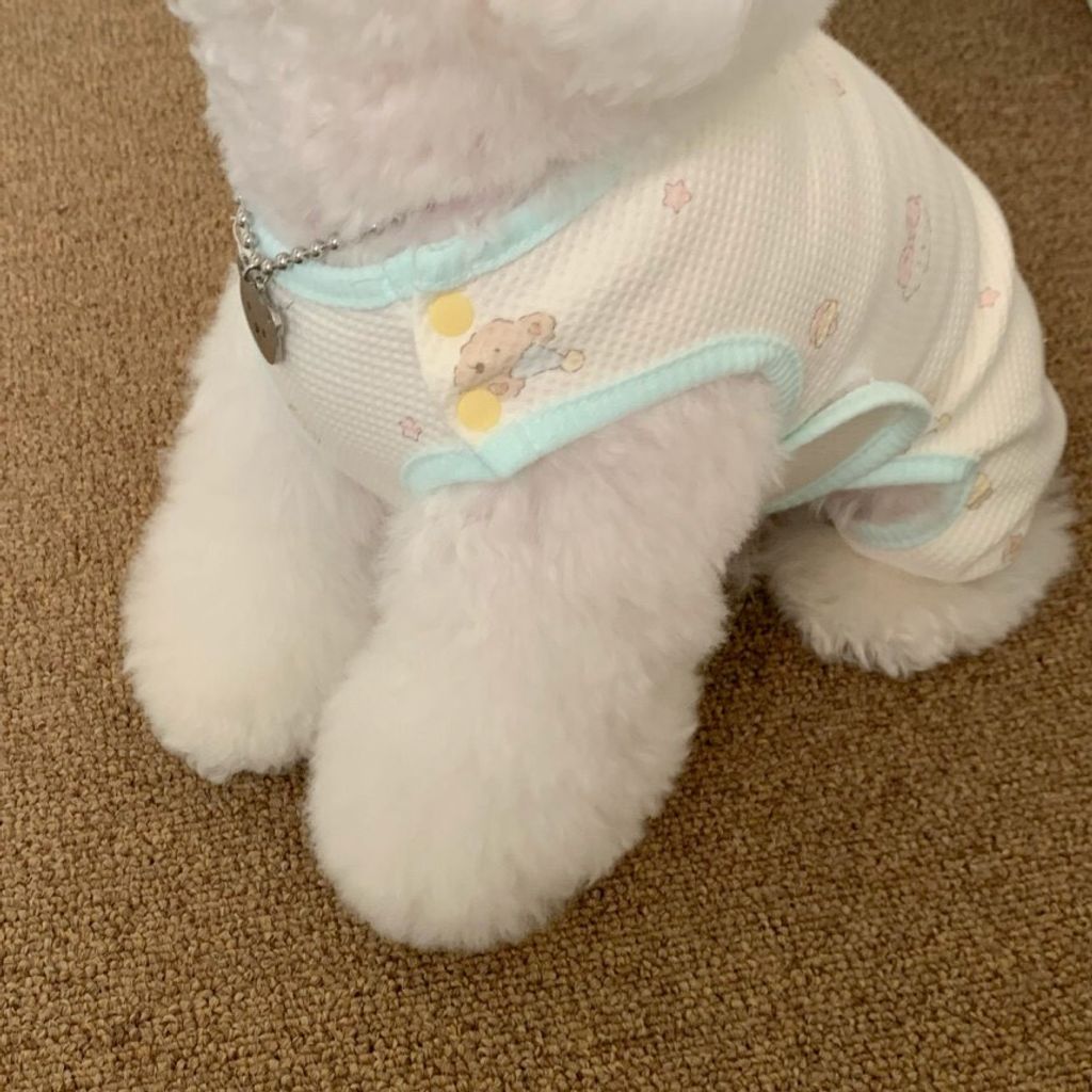 LINE_ALBUM_Doggyholic 4_260305_69