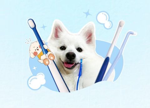 LINE_ALBUM_DENTISOFT寵物牙刷牙間刷_260513_1
