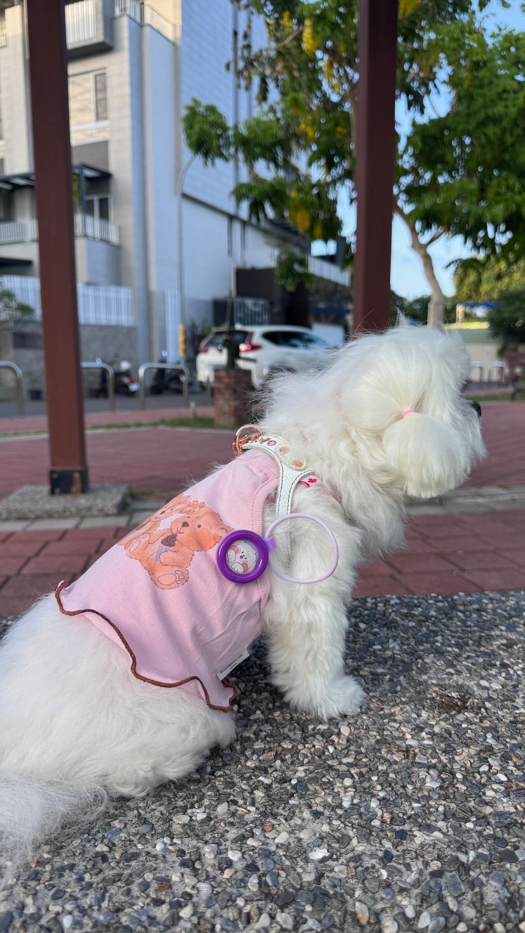 image_3A6E81AB-A033-4095-97C3-774978AD3C79_1779720841