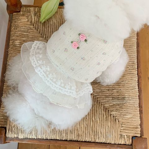 LINE_ALBUM_Merrymuah_260525_7