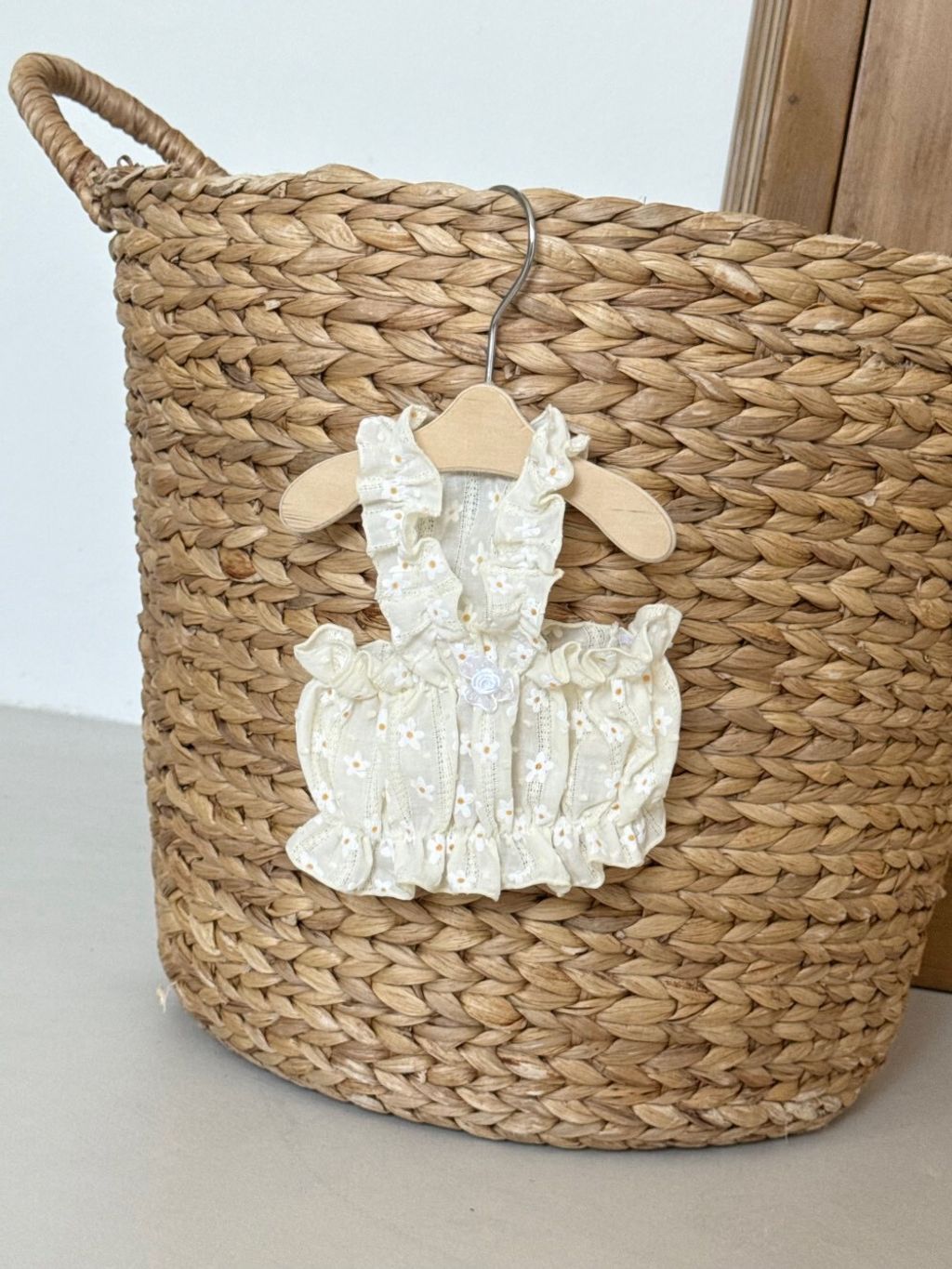 LINE_ALBUM_Dearmeong_260526_12