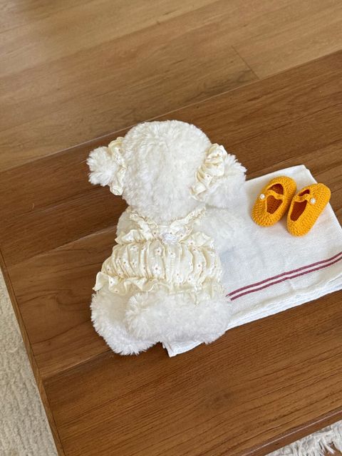 LINE_ALBUM_Dearmeong_260526_19