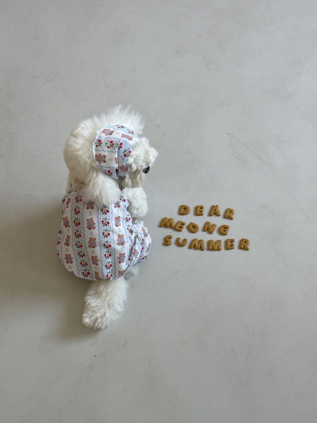 LINE_ALBUM_Dearmeong_260526_41