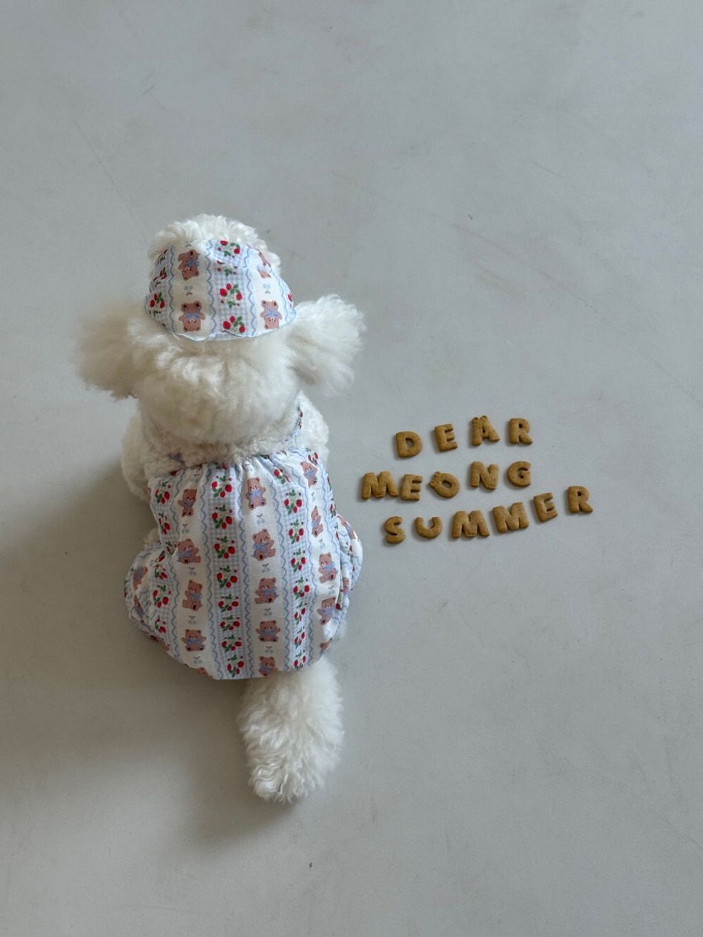 LINE_ALBUM_Dearmeong_260526_42