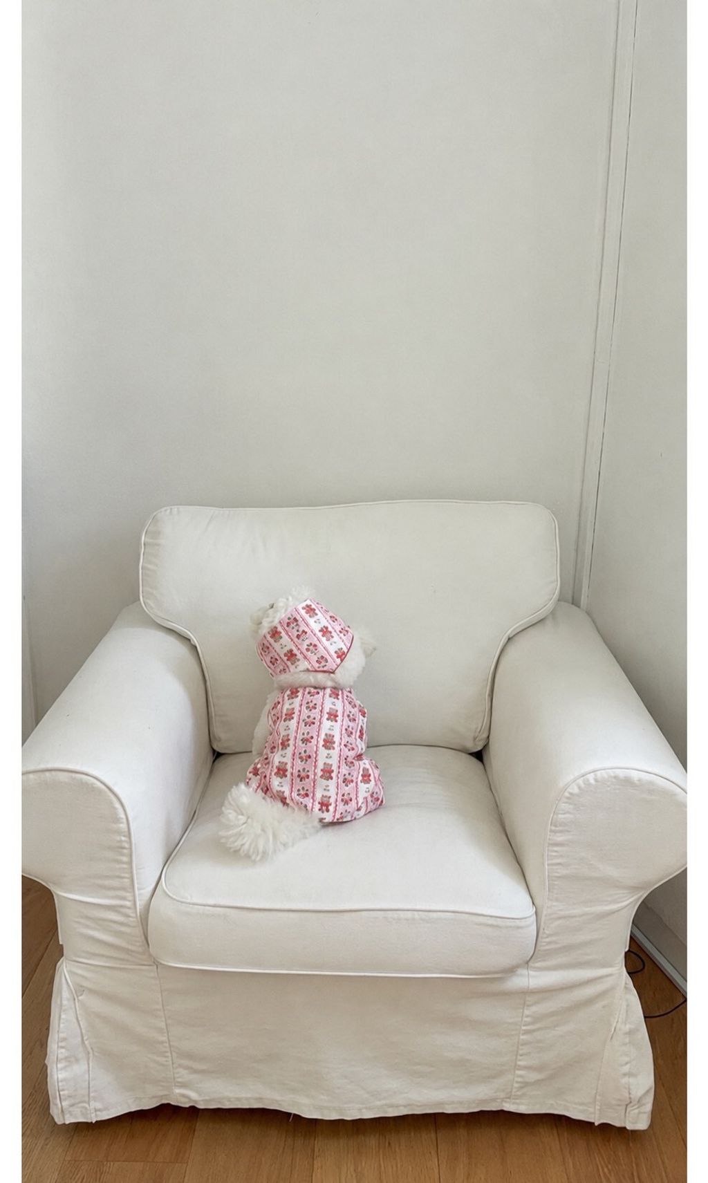 LINE_ALBUM_Dearmeong_260526_44