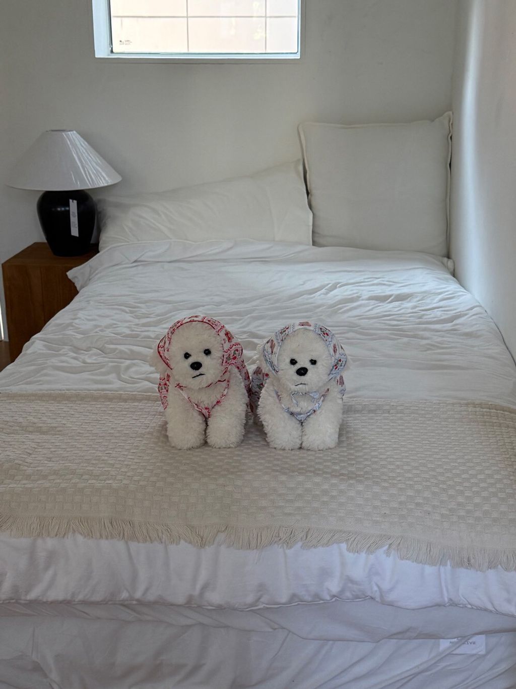 LINE_ALBUM_Dearmeong_260526_27