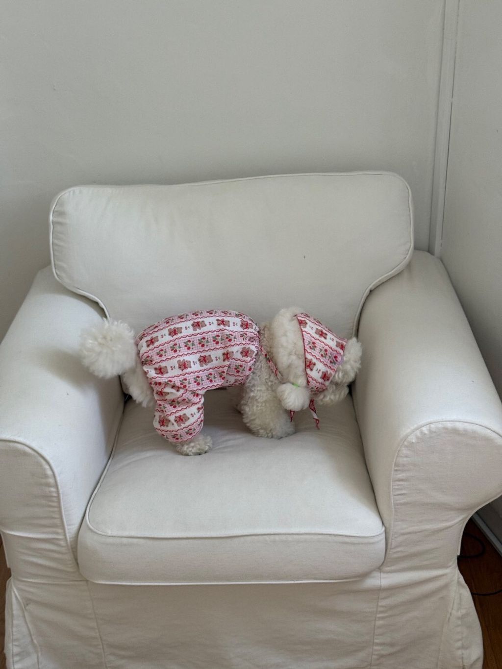 LINE_ALBUM_Dearmeong_260526_39