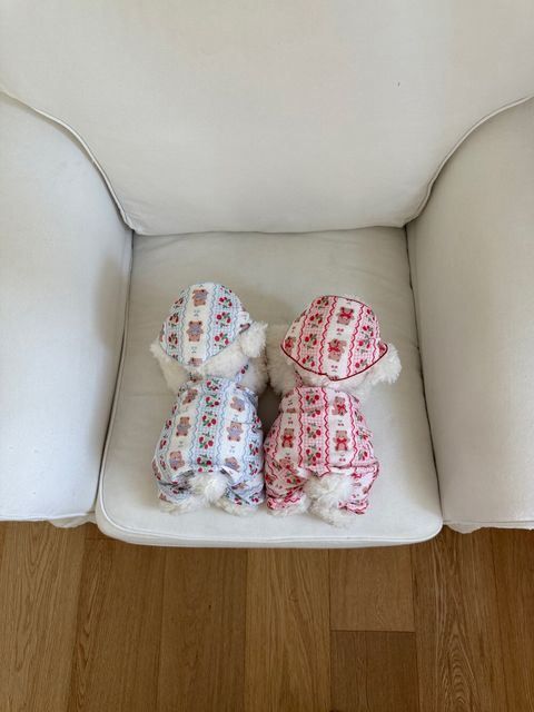 LINE_ALBUM_Dearmeong_260526_33