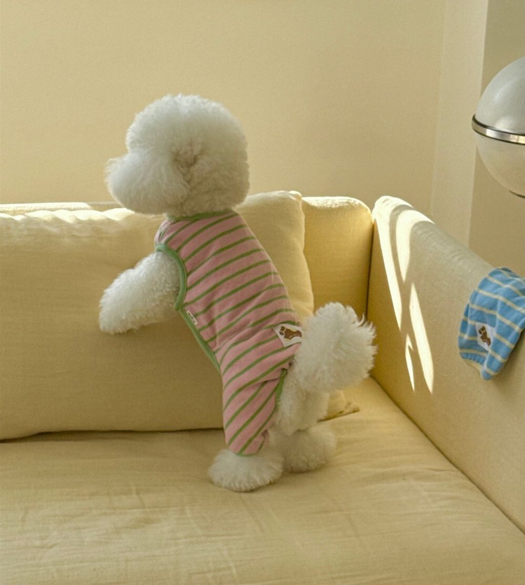 LINE_ALBUM_Dearmeong_260526_73