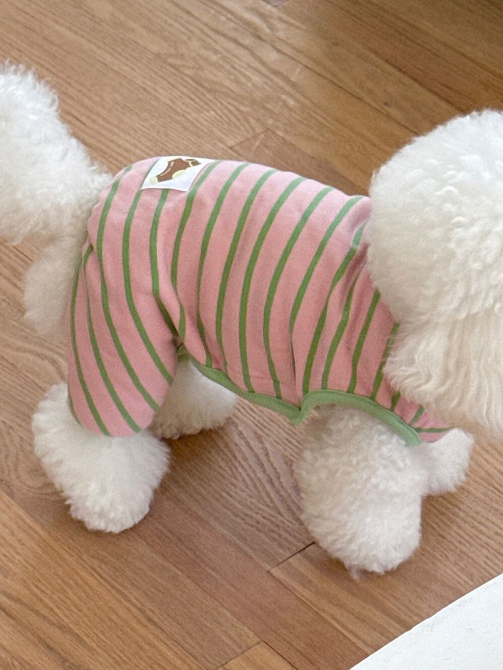 LINE_ALBUM_Dearmeong_260526_72