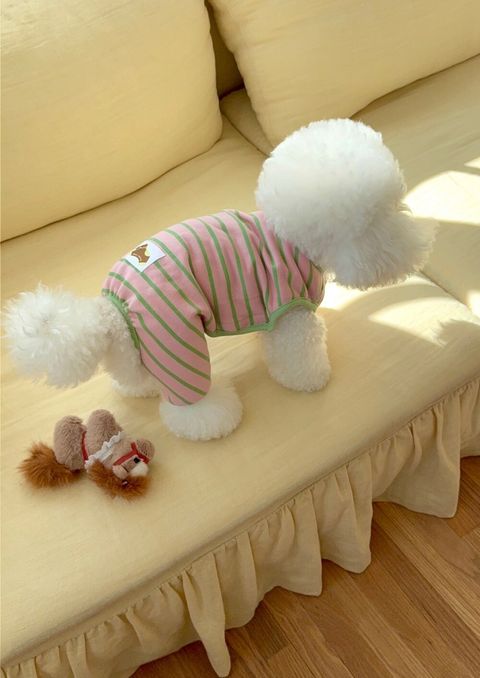 LINE_ALBUM_Dearmeong_260526_77