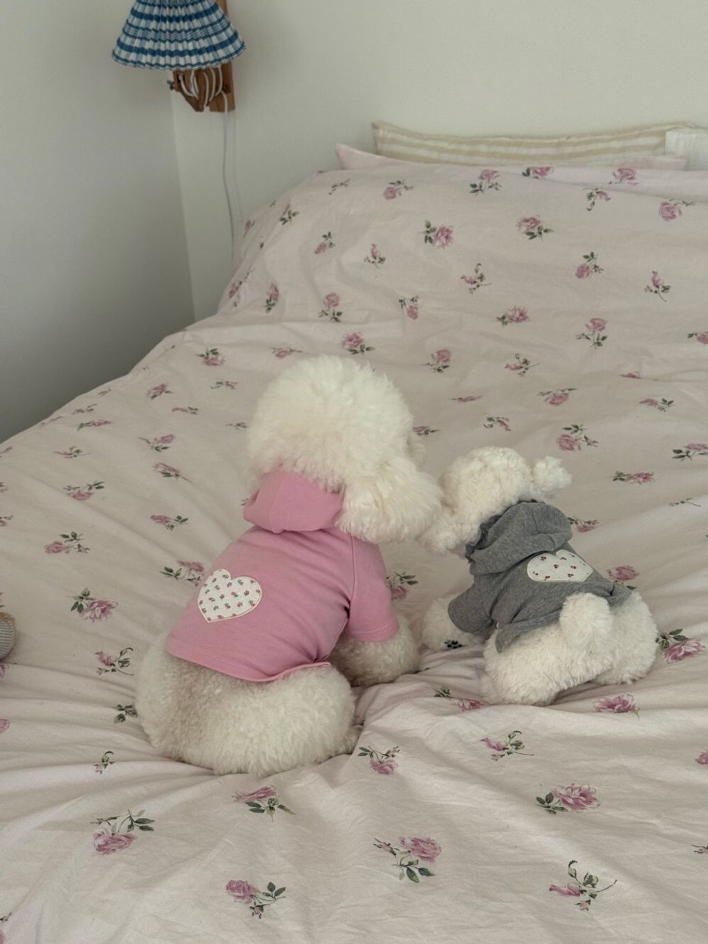 LINE_ALBUM_Dearmeong_260526_93