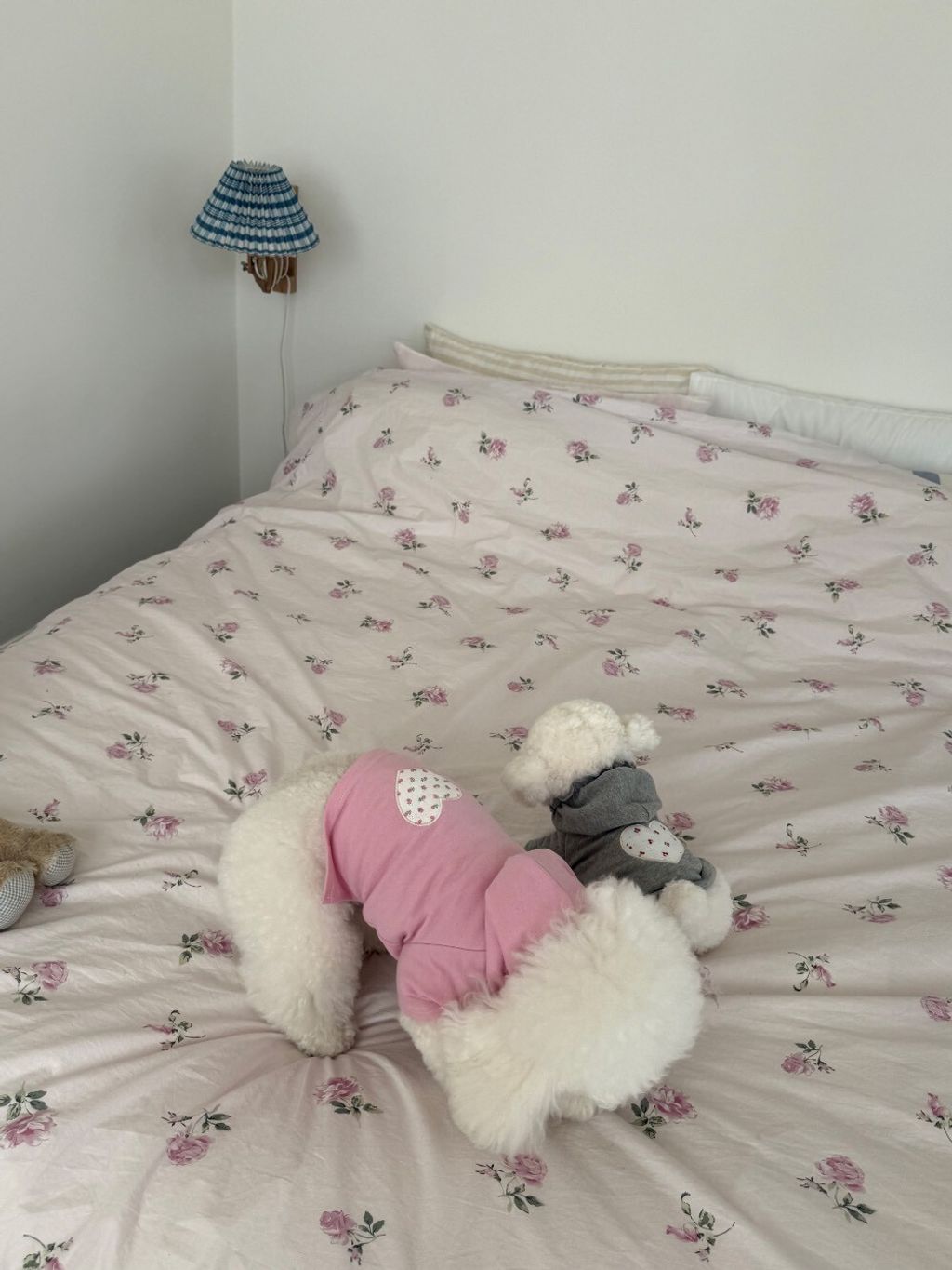 LINE_ALBUM_Dearmeong_260526_94