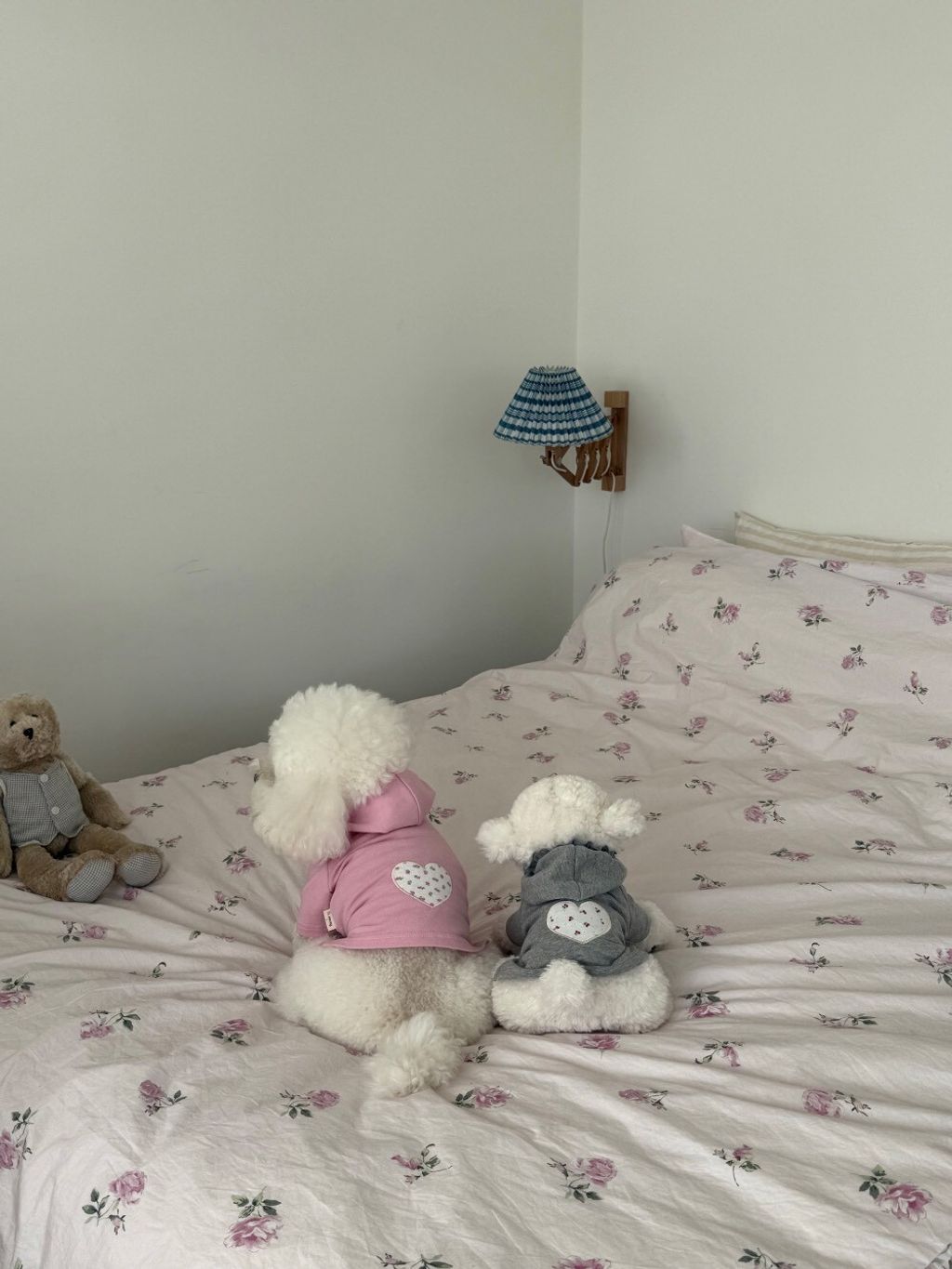 LINE_ALBUM_Dearmeong_260526_96