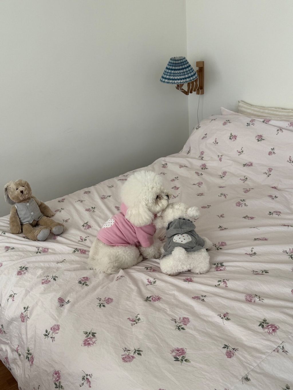 LINE_ALBUM_Dearmeong_260526_92