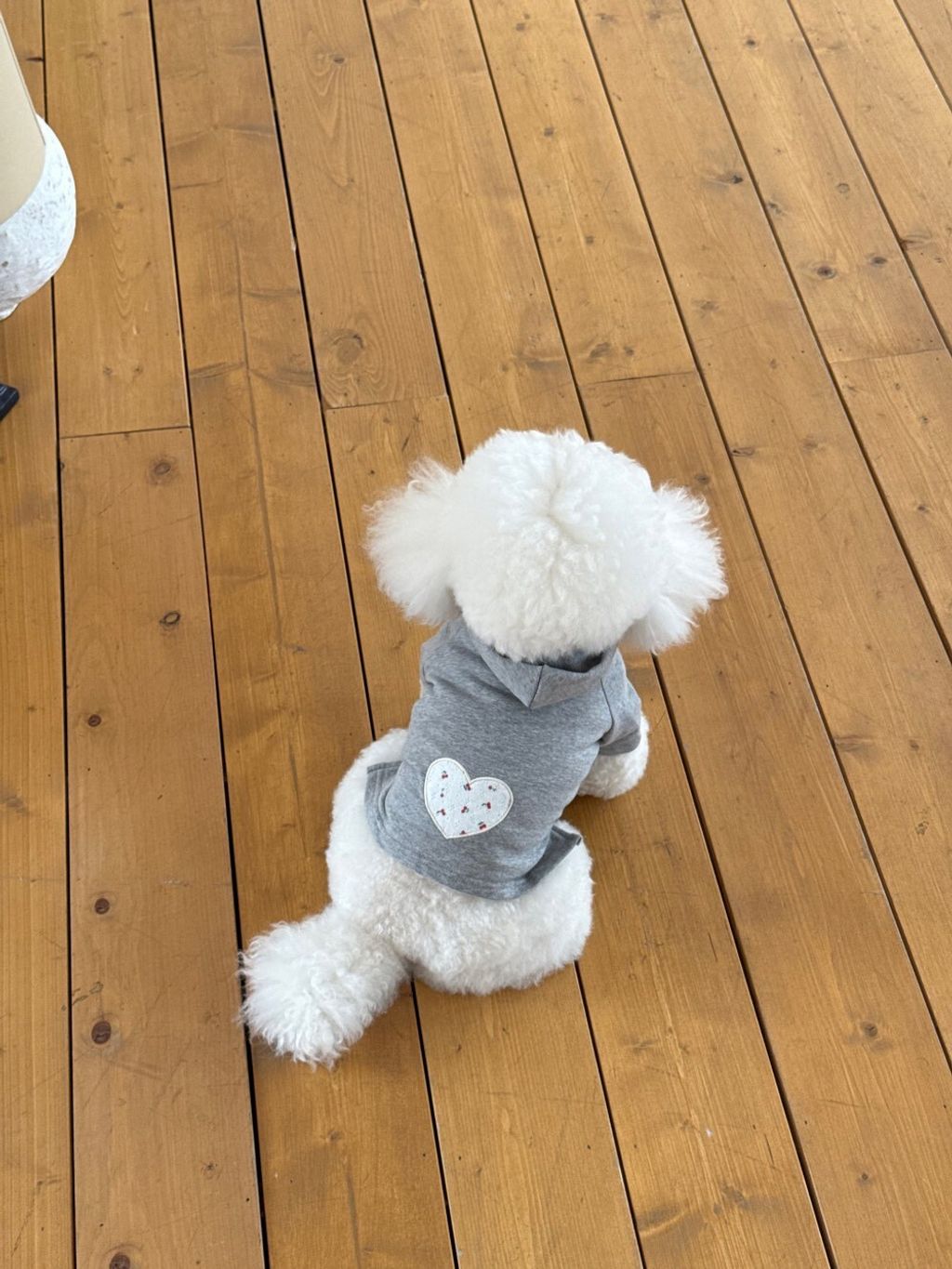 LINE_ALBUM_Dearmeong_260526_87