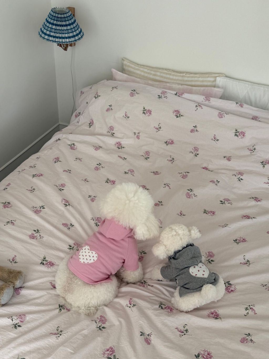 LINE_ALBUM_Dearmeong_260526_97