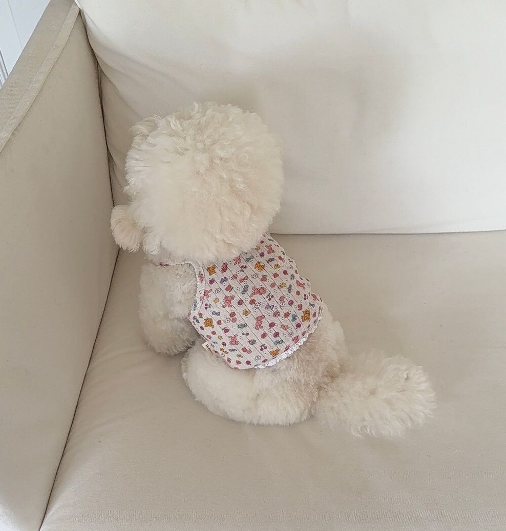 LINE_ALBUM_Dearmeong_260526_116
