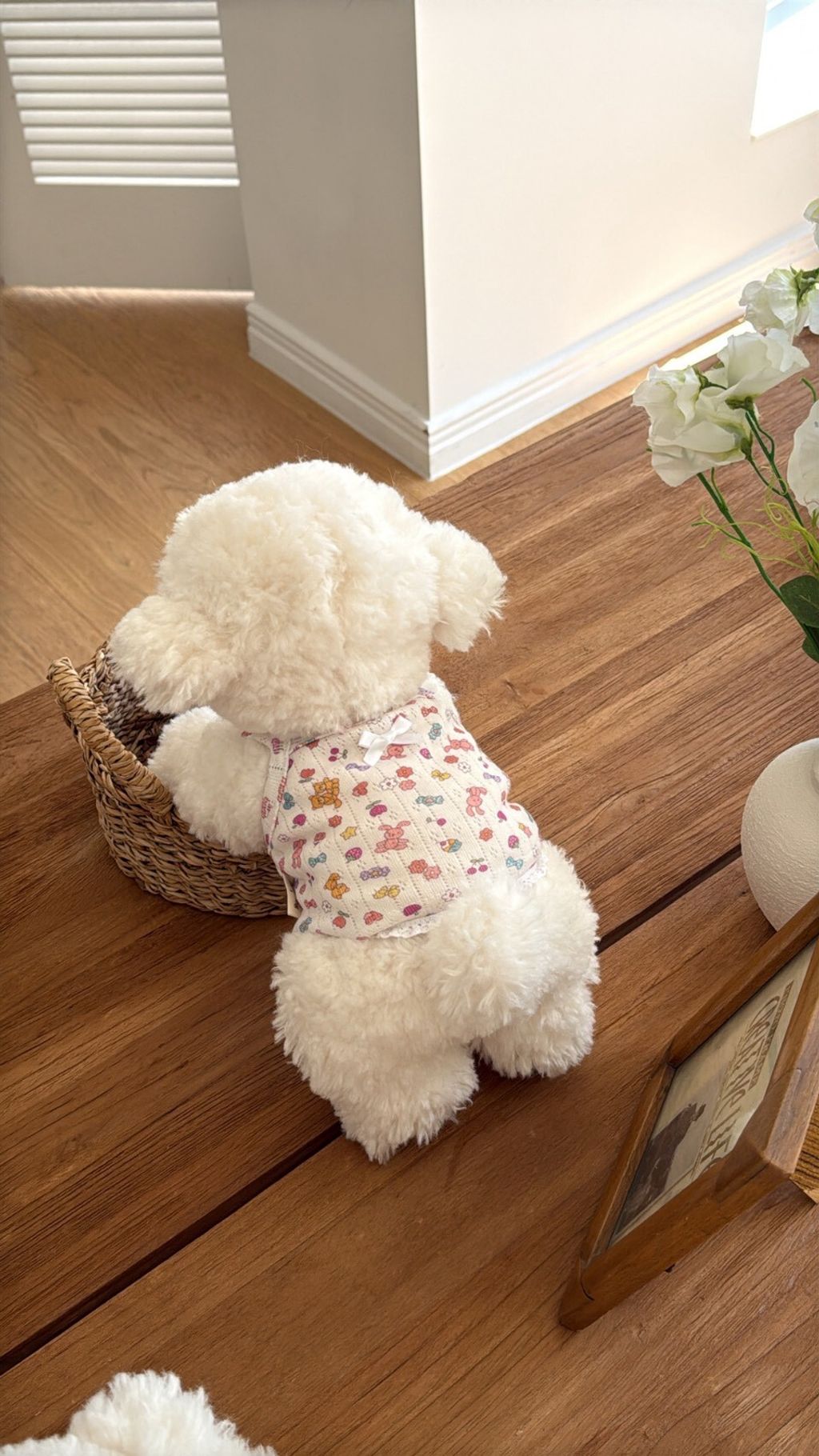 LINE_ALBUM_Dearmeong_260526_134