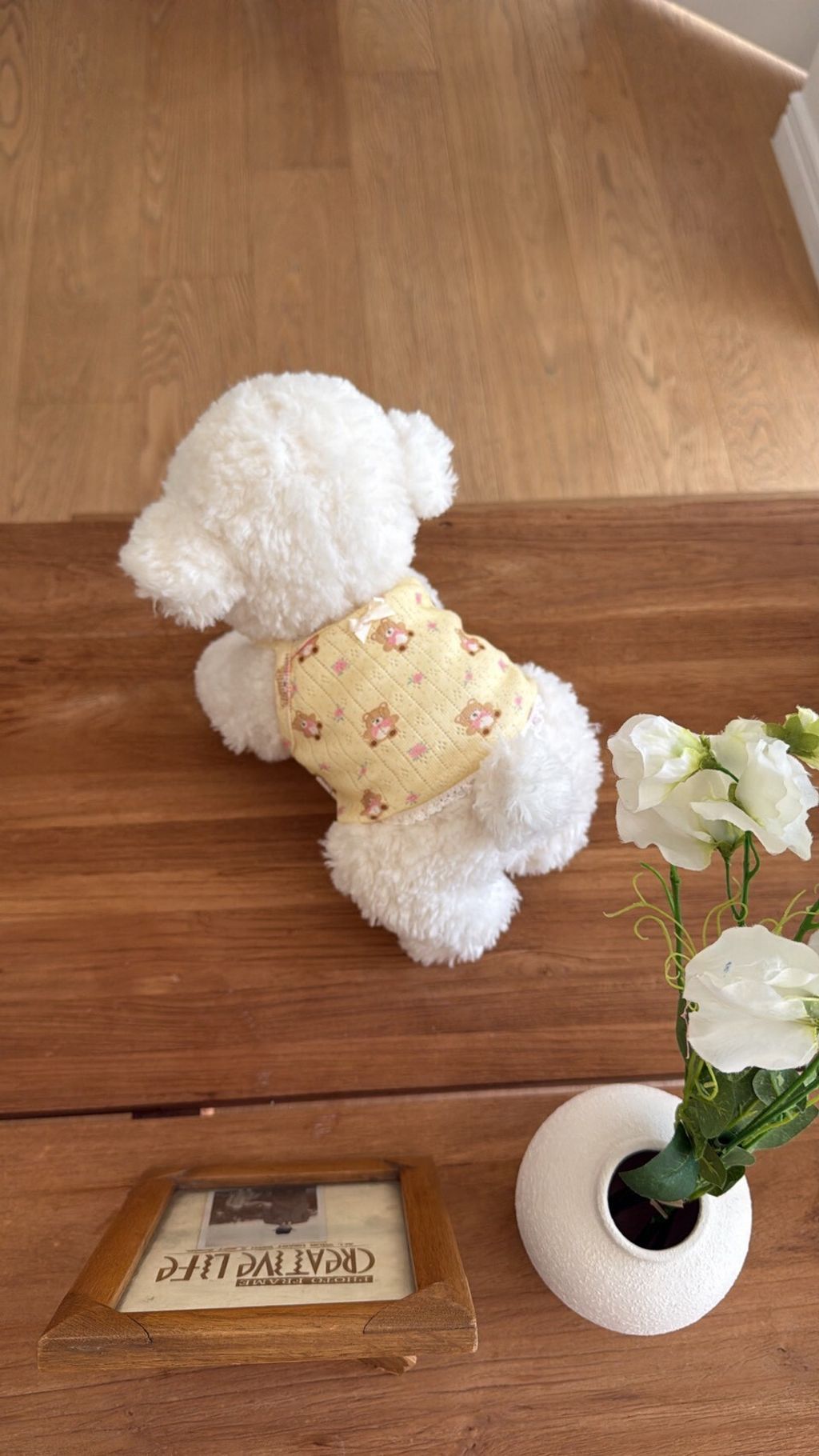LINE_ALBUM_Dearmeong_260526_135