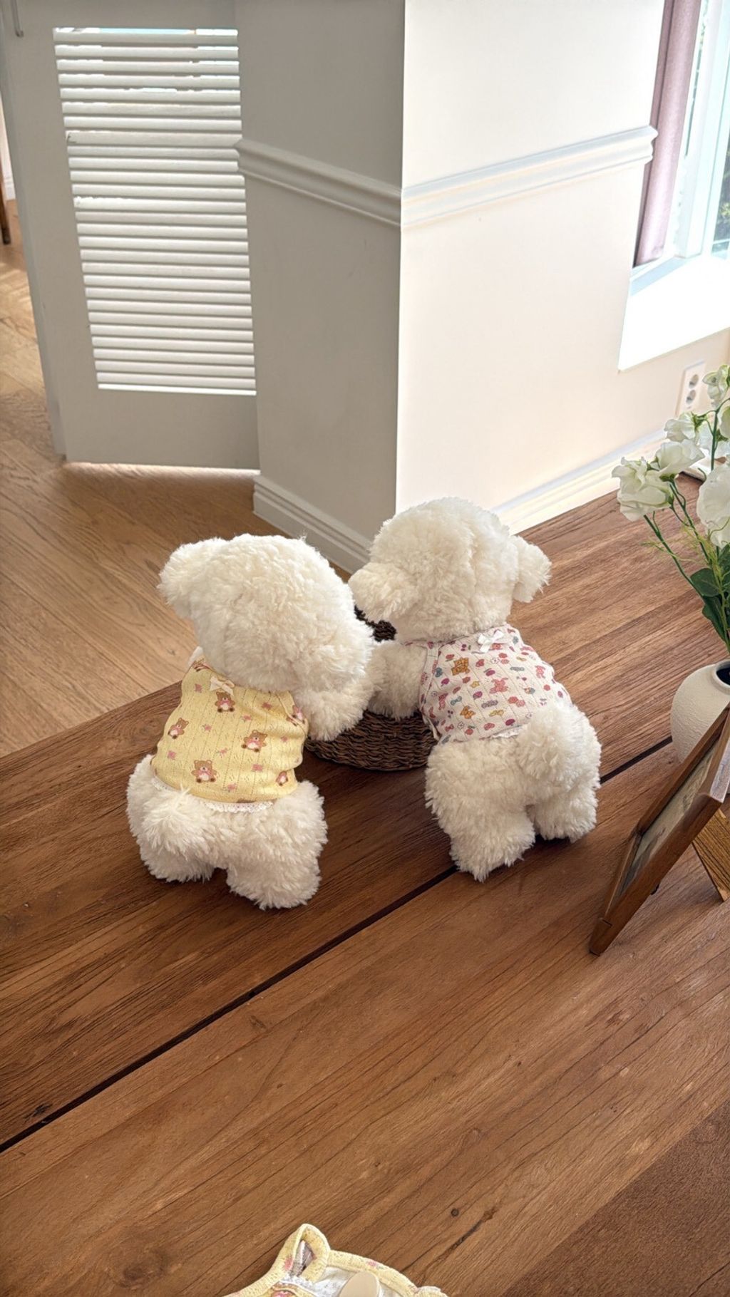 LINE_ALBUM_Dearmeong_260526_138