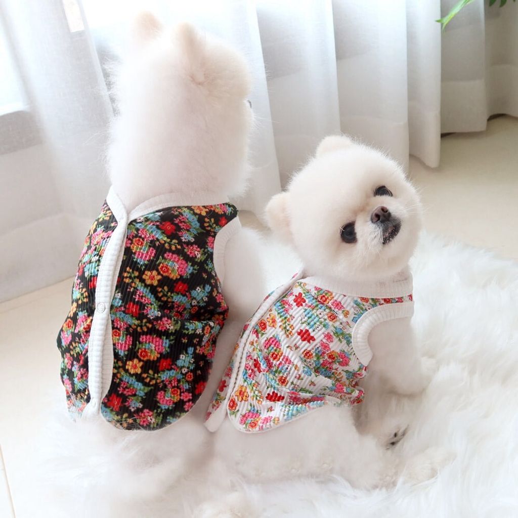LINE_ALBUM_Honey dogg_260526_10
