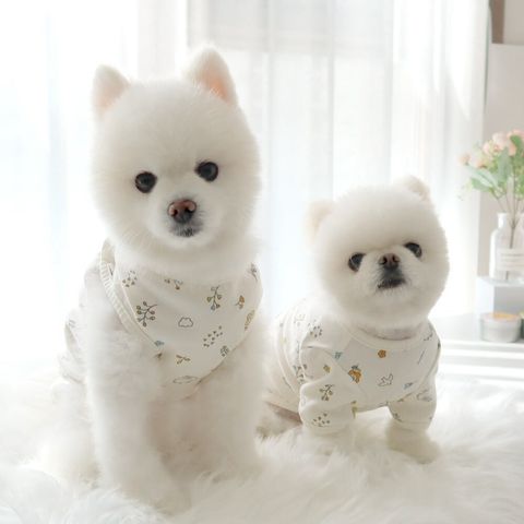 LINE_ALBUM_Honey dogg_260526_37