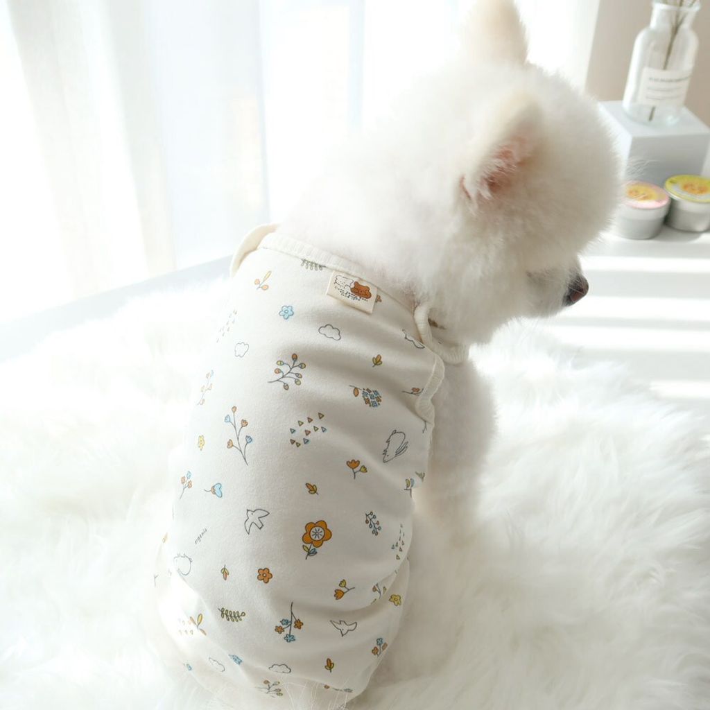 LINE_ALBUM_Honey dogg_260526_33