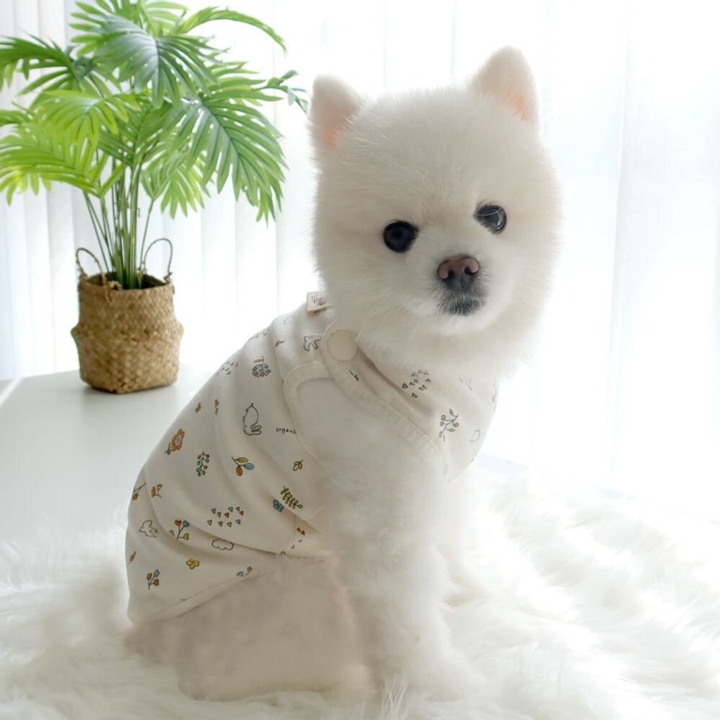 LINE_ALBUM_Honey dogg_260526_34