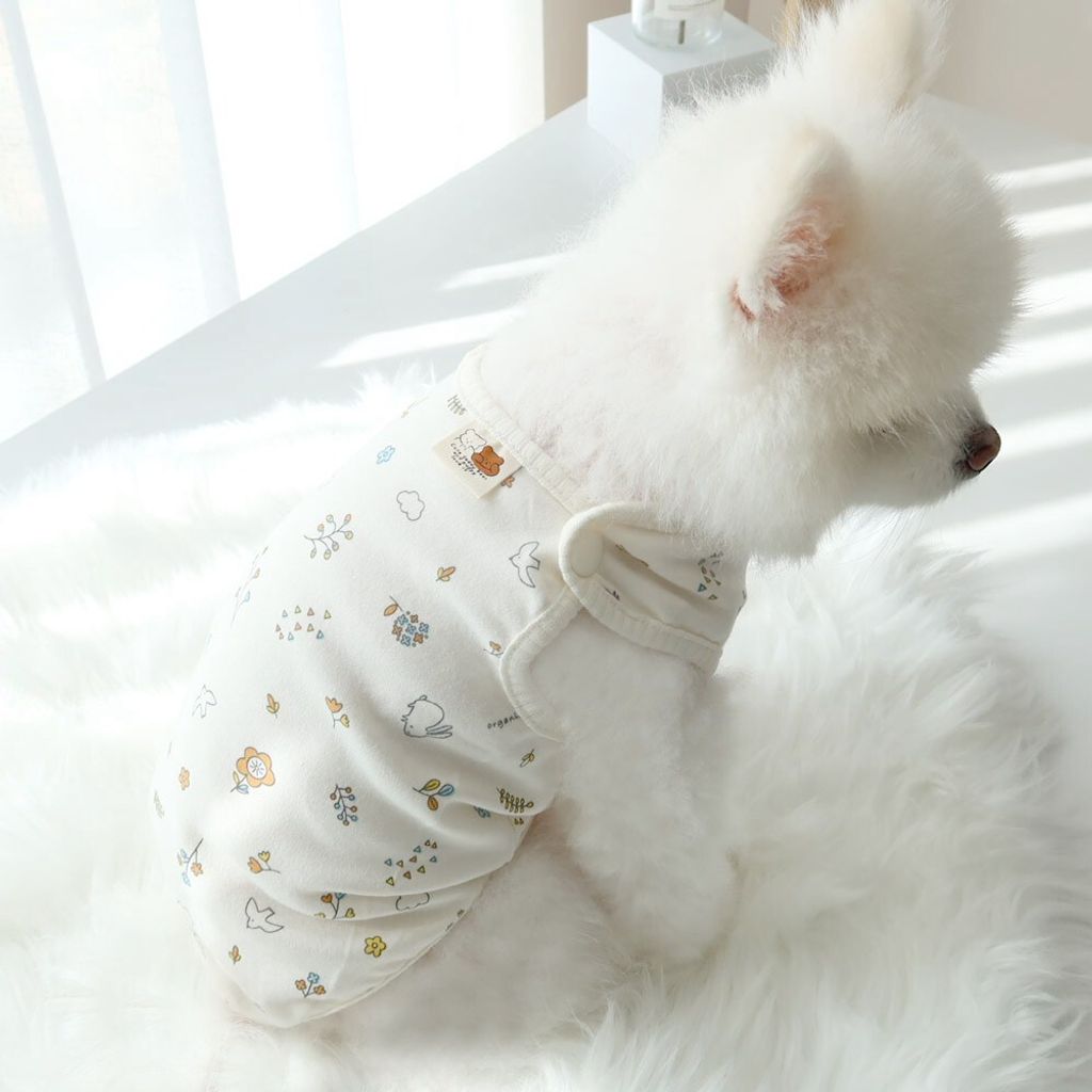LINE_ALBUM_Honey dogg_260526_35