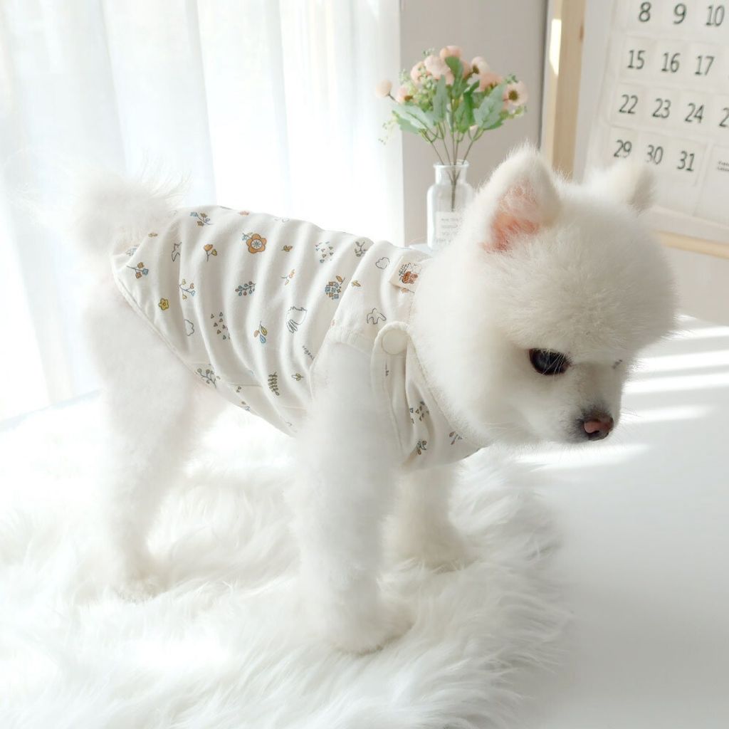 LINE_ALBUM_Honey dogg_260526_36