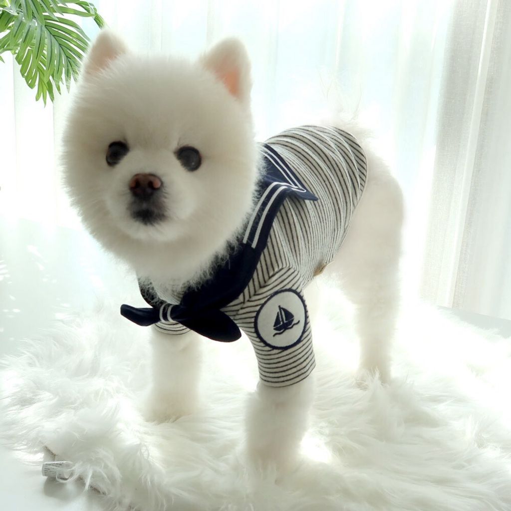 LINE_ALBUM_Honey dogg_260526_66