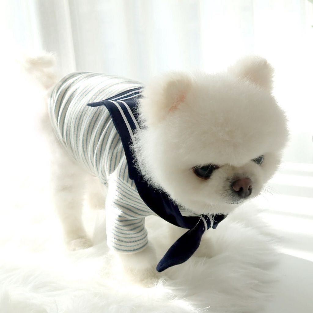 LINE_ALBUM_Honey dogg_260526_63