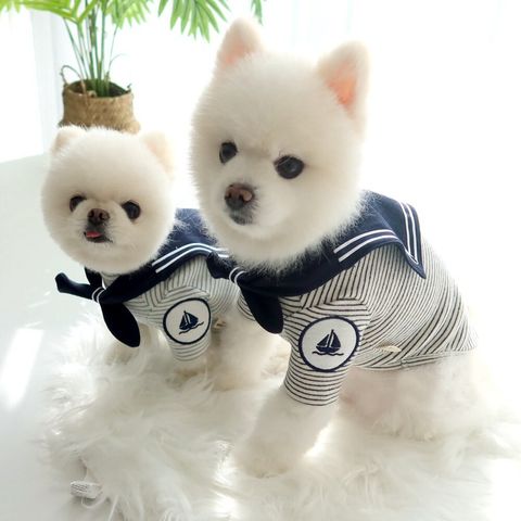 LINE_ALBUM_Honey dogg_260526_58