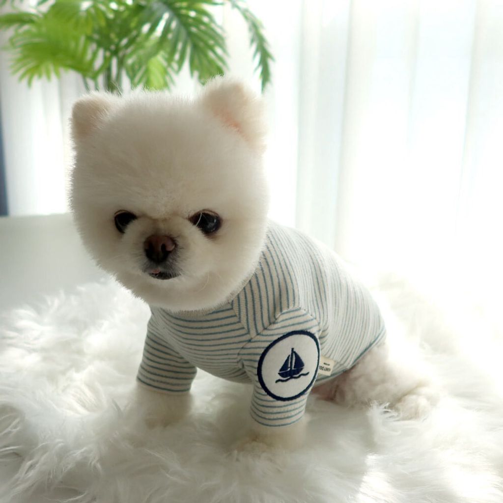 LINE_ALBUM_Honey dogg_260526_64
