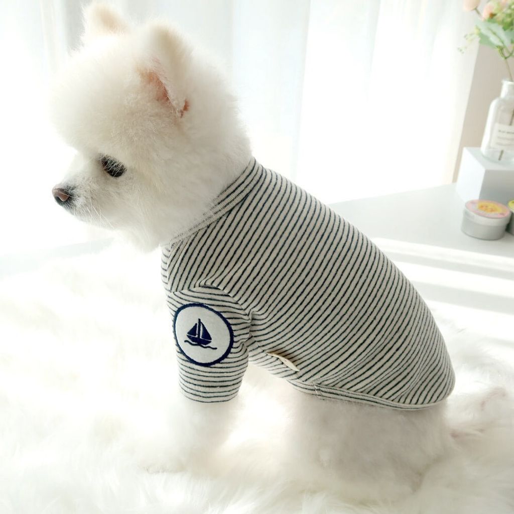 LINE_ALBUM_Honey dogg_260526_67