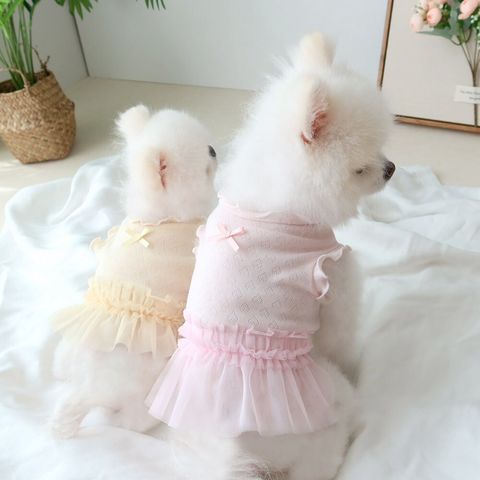 LINE_ALBUM_Honey dogg_260526_91