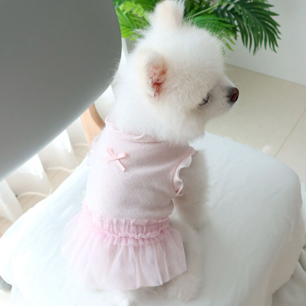 LINE_ALBUM_Honey dogg_260526_83