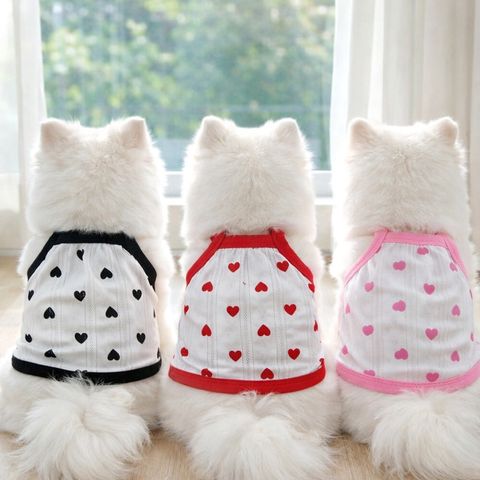 LINE_ALBUM_Honey dogg_260526_104