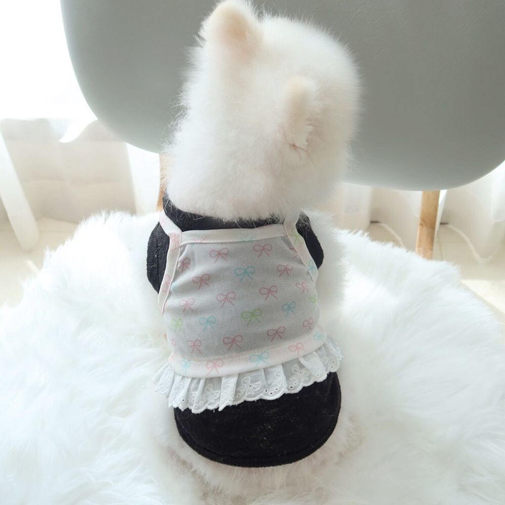 LINE_ALBUM_Honey dogg_260526_128