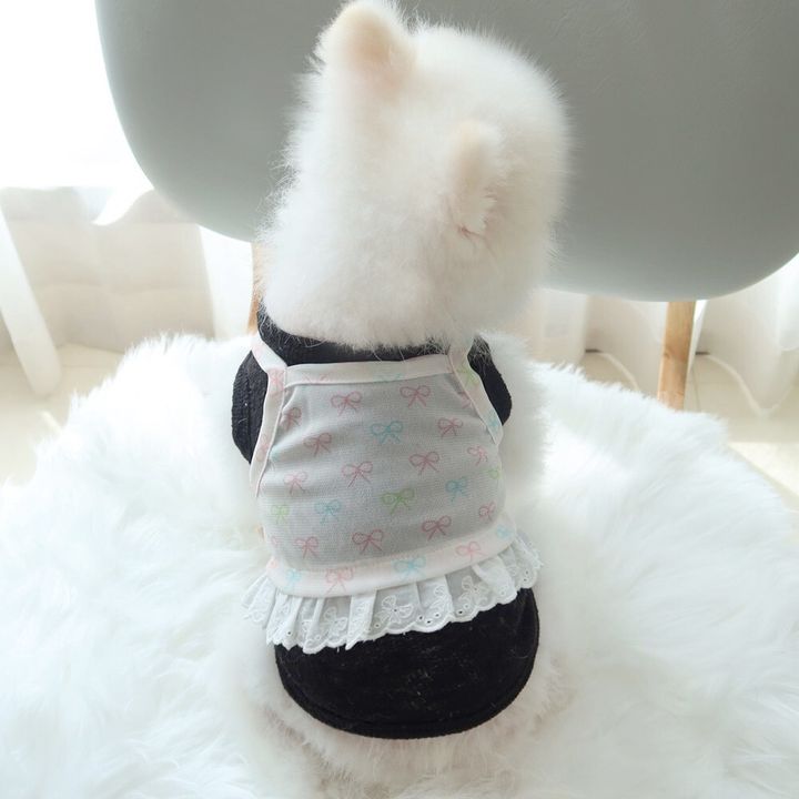 LINE_ALBUM_Honey dogg_260526_128