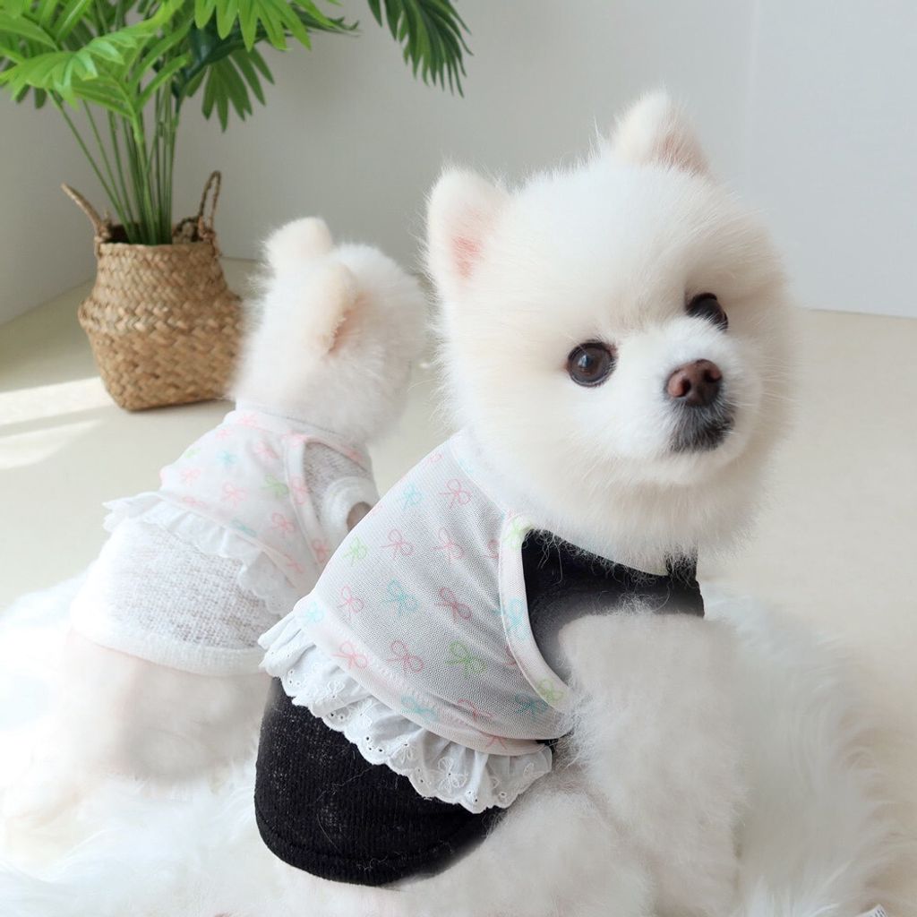 LINE_ALBUM_Honey dogg_260526_131
