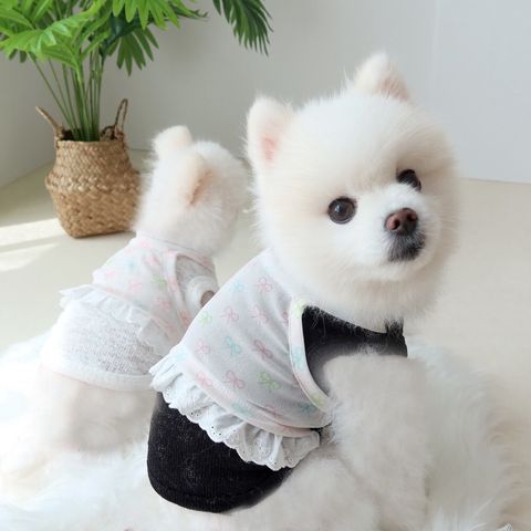 LINE_ALBUM_Honey dogg_260526_131