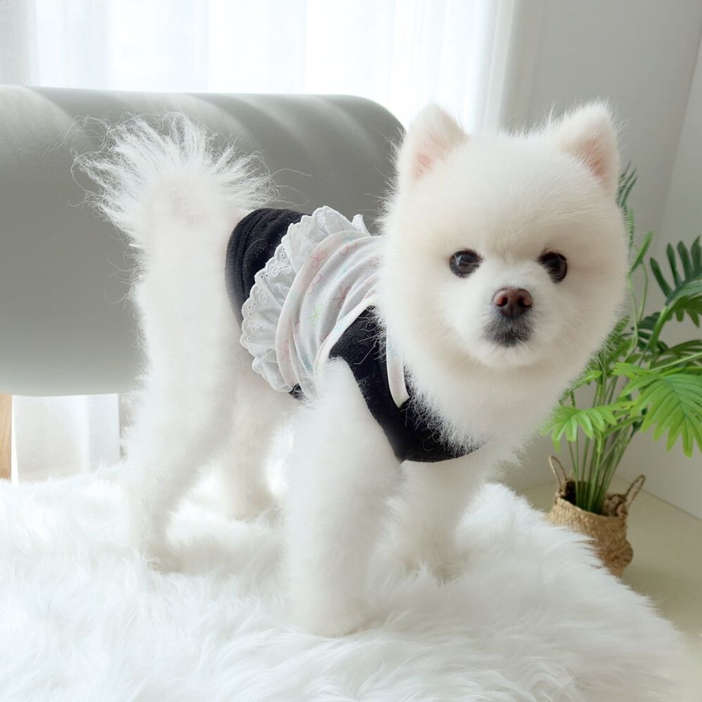 LINE_ALBUM_Honey dogg_260526_129
