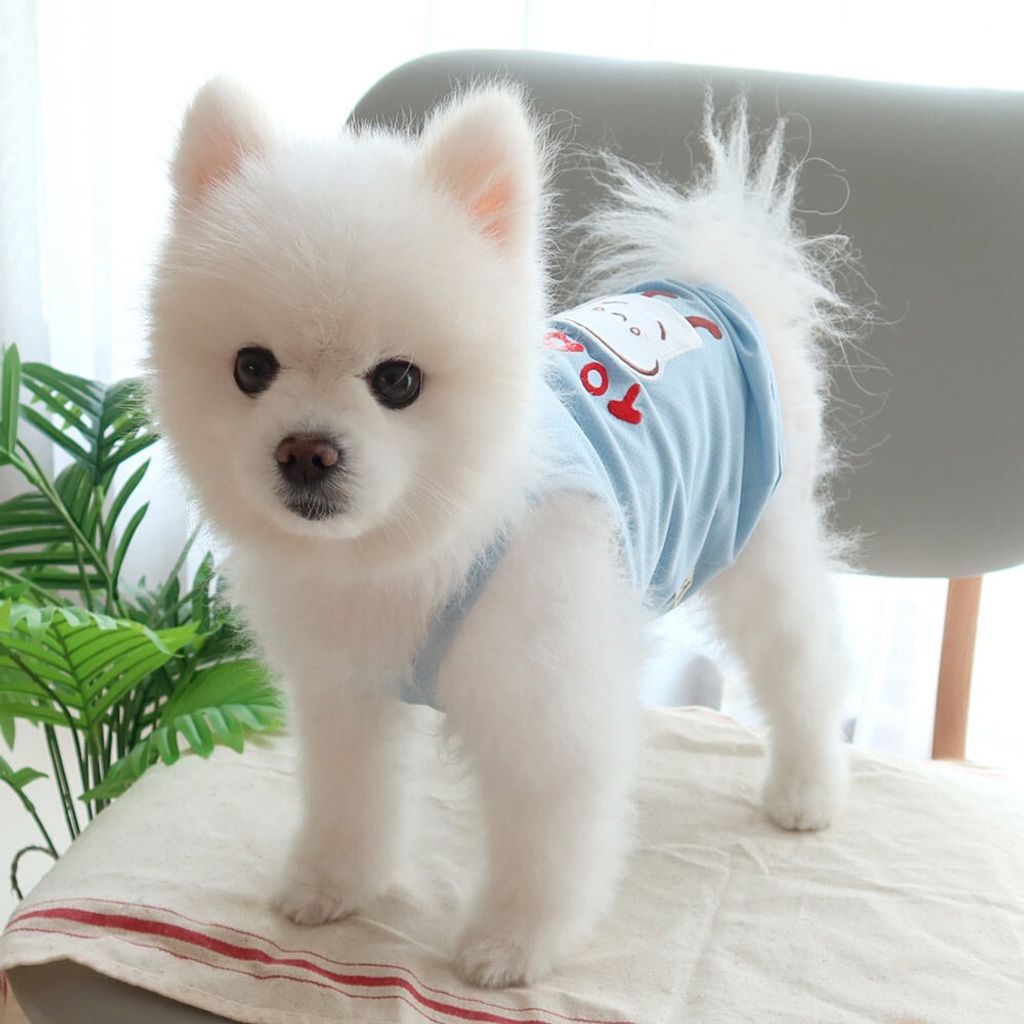LINE_ALBUM_Honey dogg_260526_167