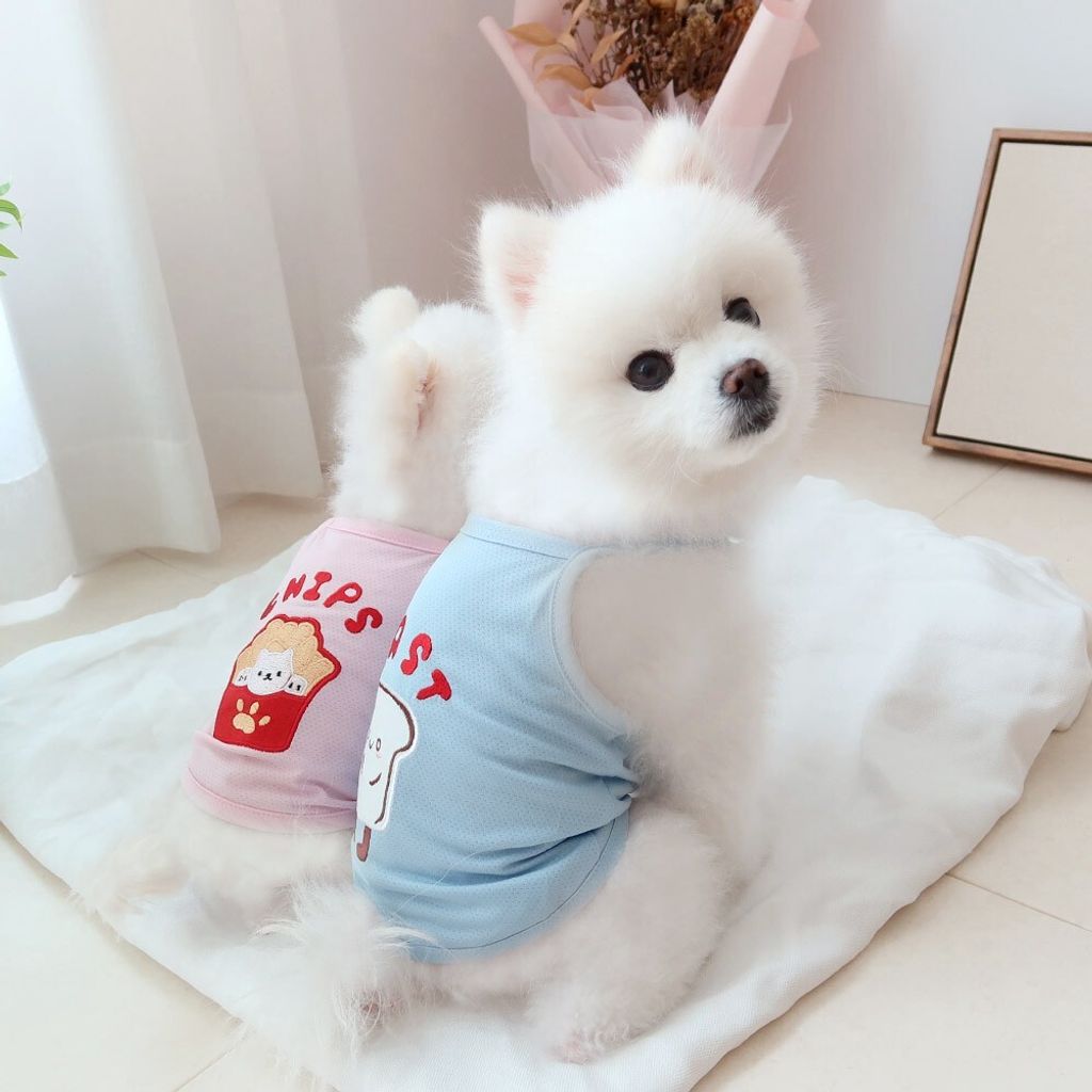 LINE_ALBUM_Honey dogg_260526_171